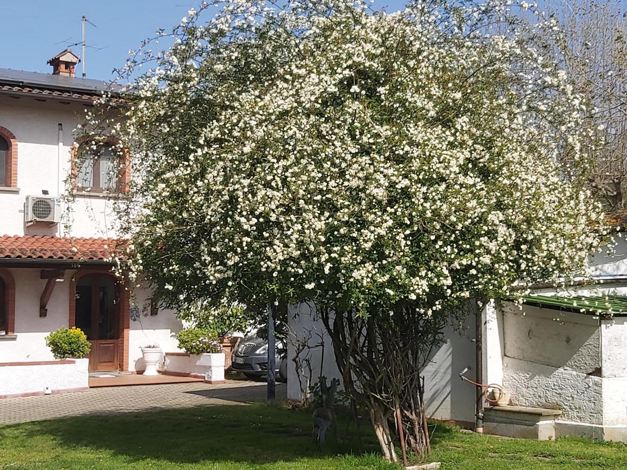 Villa Fioccomare Camaiore Exteriér fotografie