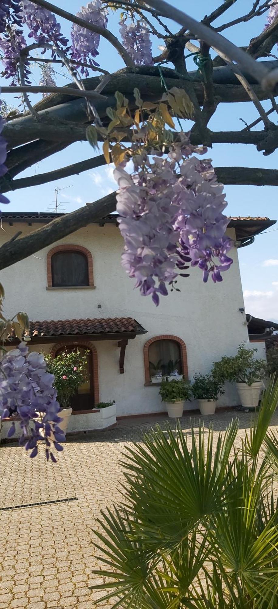 Villa Fioccomare Camaiore Exteriér fotografie