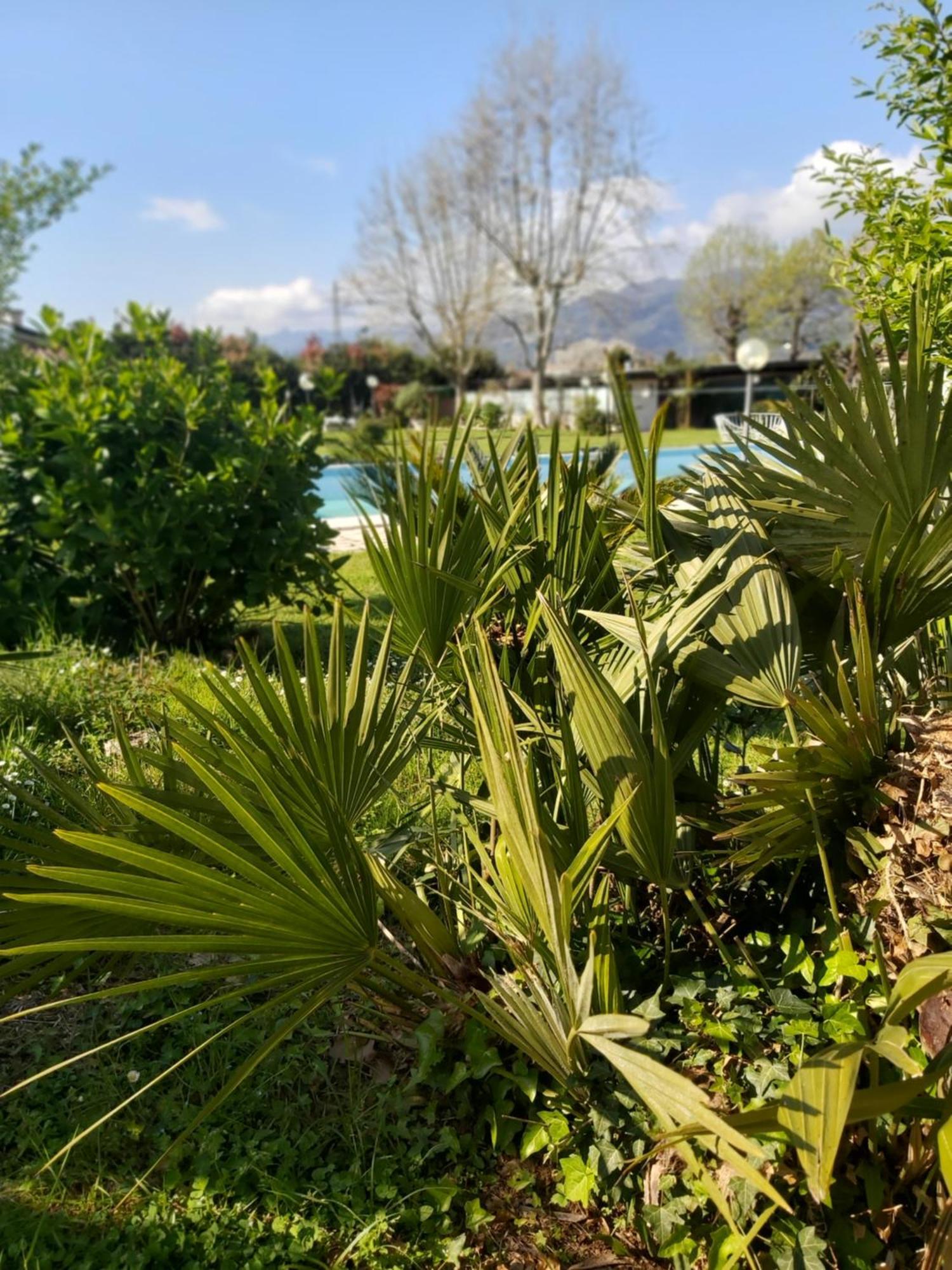 Villa Fioccomare Camaiore Exteriér fotografie
