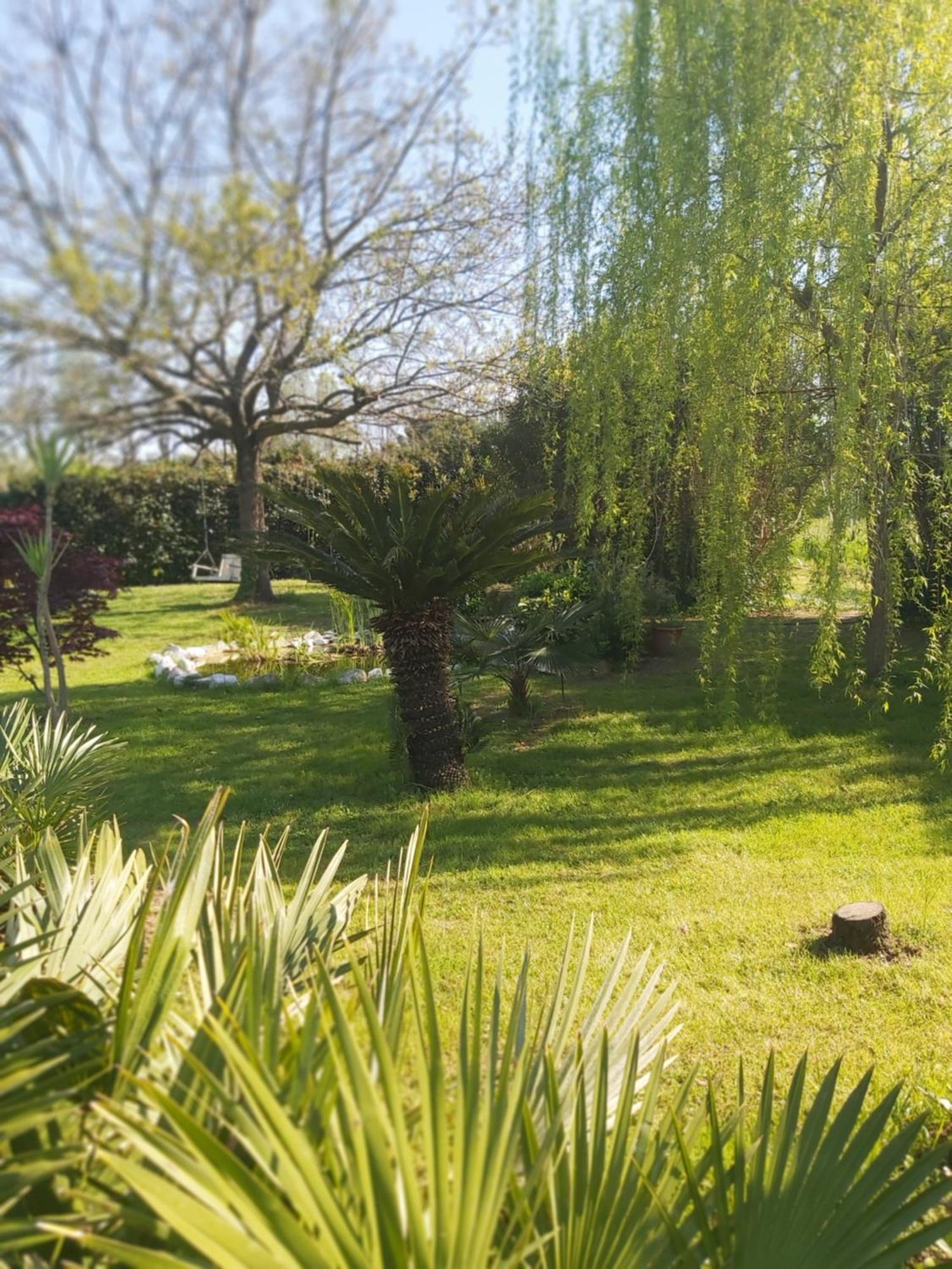 Villa Fioccomare Camaiore Exteriér fotografie